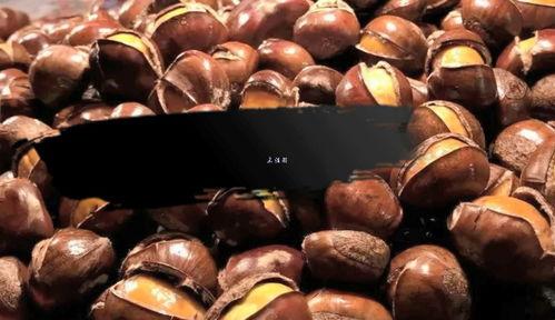 板栗视频网,探索美食与生活的精彩瞬间